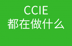 CCIE培训常见问题007-CCIE现在多吗?CCIE一般都是从事什么岗位的的图片 CCIE培训常见问题007-CCIE现在多吗?CCIE一般都是从事什么岗位的